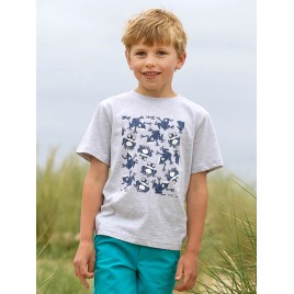 Kite T-Shirt Tree Frog
