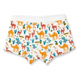 Sense Organics Prince Retro Boxrshorts 2 Pack Desert Scene/stripes sm