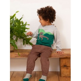 Kite Dino Jumper